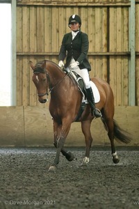 Isis Dressage Crown Farm Show 29th April 2012